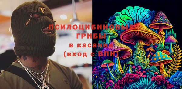 спайс Арсеньев