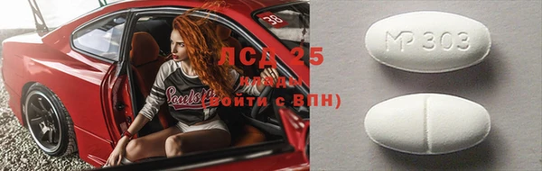 сатива Армянск