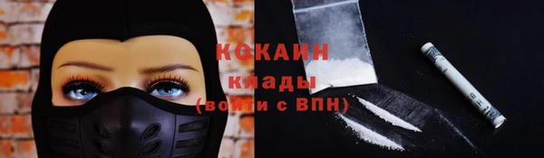 сатива Армянск