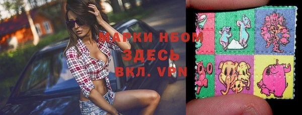 спайс Арсеньев